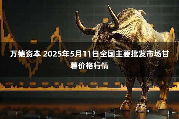 万德资本 2025年5月11日全国主要批发市场甘薯价格行情