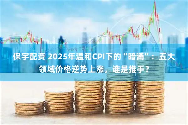 保宇配资 2025年温和CPI下的“暗涌”：五大领域价格逆势上涨，谁是推手？
