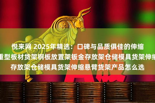 悦来网 2025年精选：口碑与品质俱佳的伸缩悬臂货架厂家分析，重型板材货架钢板放置架钣金存放架仓储模具货架伸缩悬臂货架产品怎么选